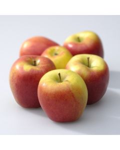 Malus domestica 'Braeburn'