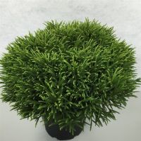 PM000008264