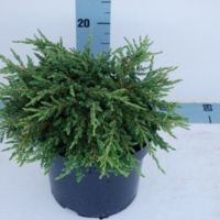 PM000034430