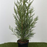 PM000093489