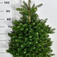 PM000099702