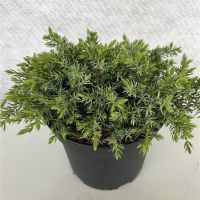 PM000190476