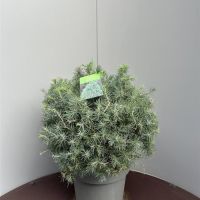 PM000195210