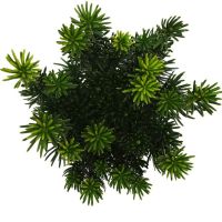 PM000243629