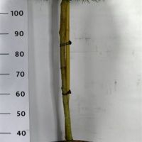 PM000273755
