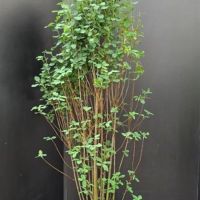 PM000283653