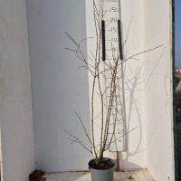PM000317360