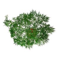 PM000330333