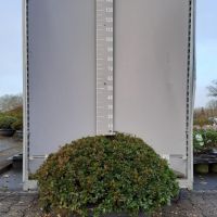 PM000448718