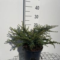 PM000454348